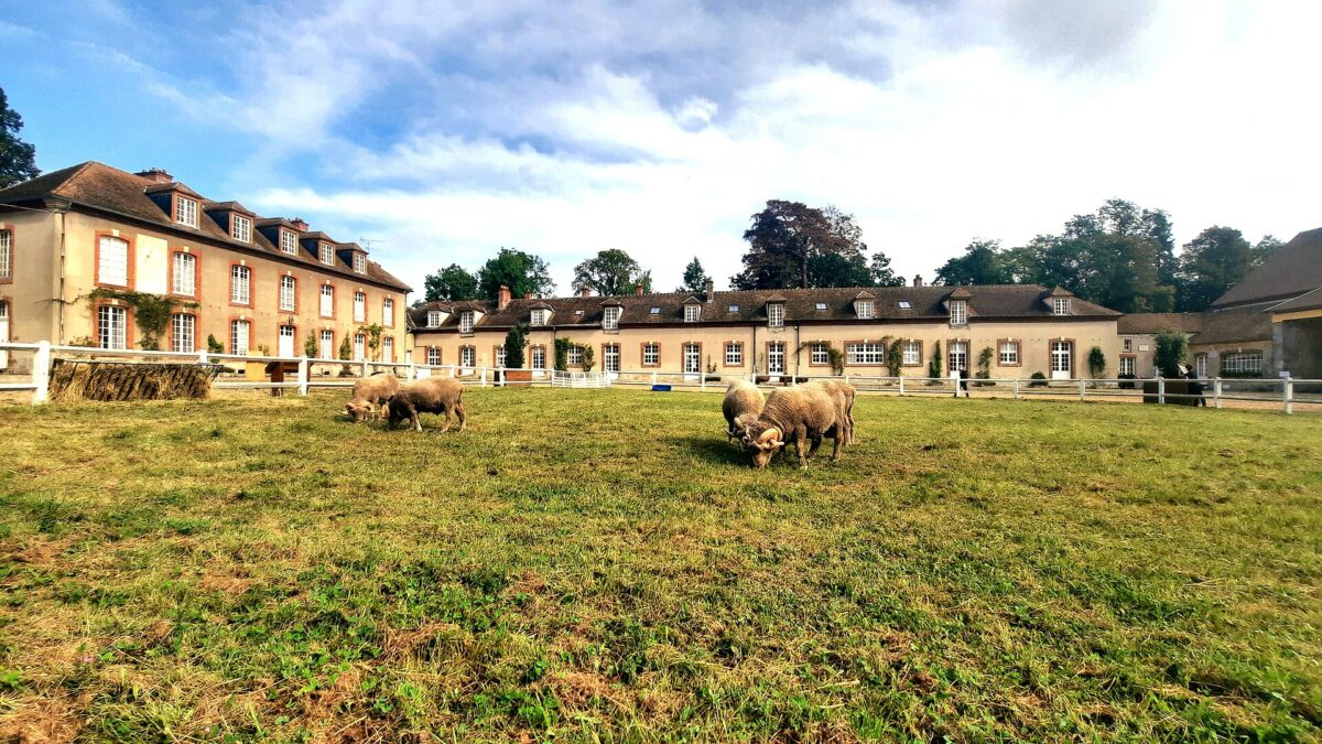 Cour Royale de la Bergerie nationale
