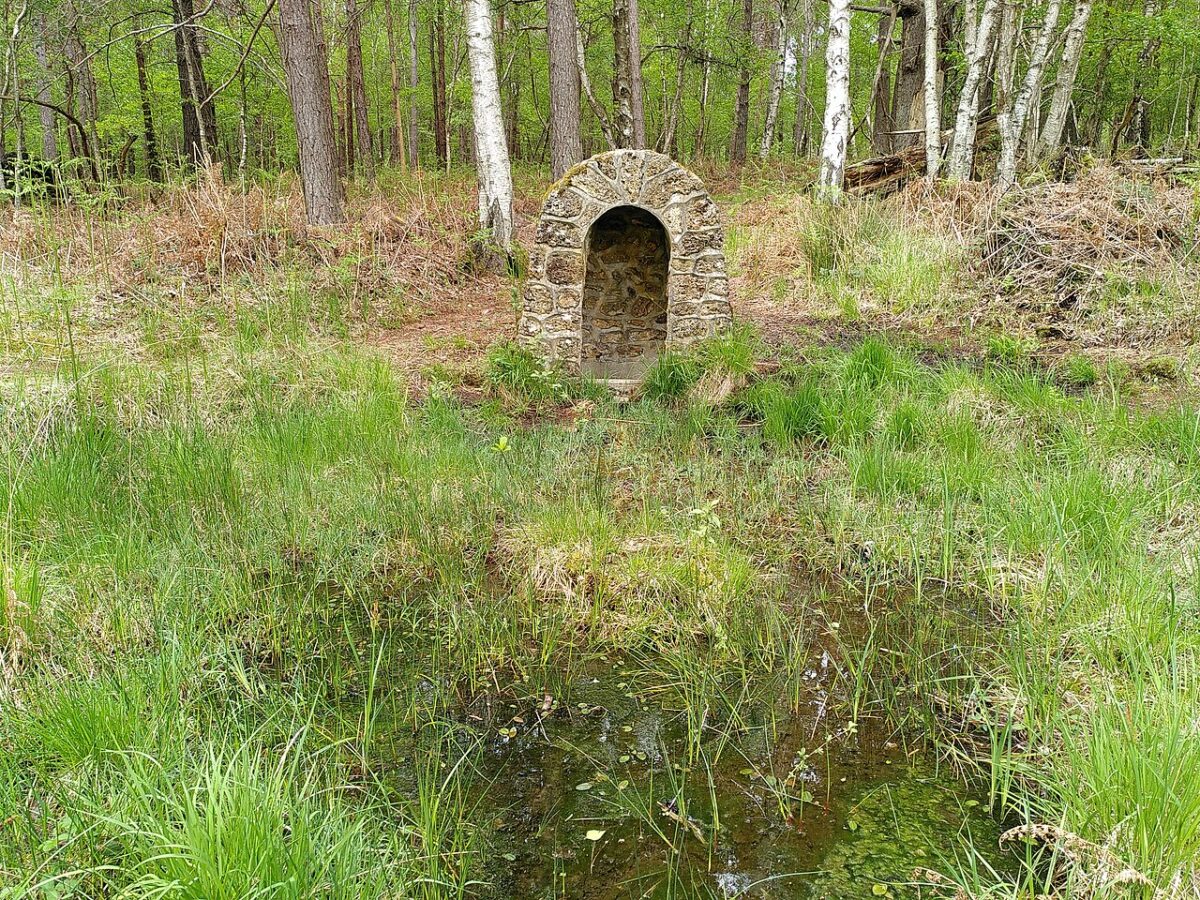 La fontaine du Juif Errant, petite niche de pierre au milieu des herbes en forêt